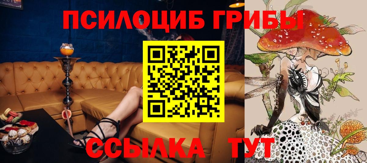 Псилоцибиновые грибы GOLDEN TEACHER Югорск